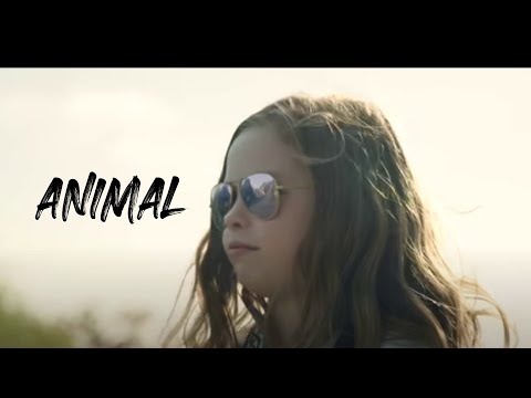 Animal ( Salish diss track ) Official music video lyrics.
