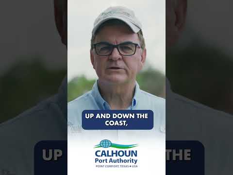 Chester Island: A Vital Sanctuary for Texas’ Coastal Birds