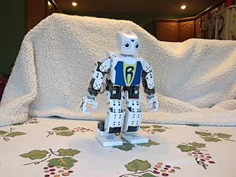 2016 1126 robotis video