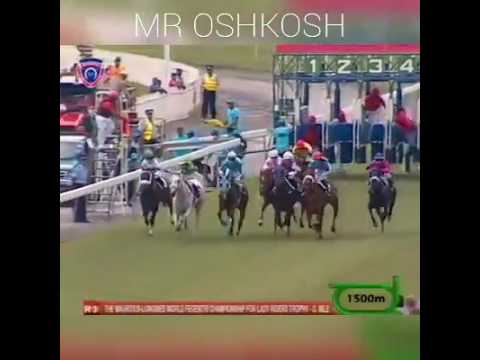 Mr Oshkosh - 4 December 2016 (Weekend International)