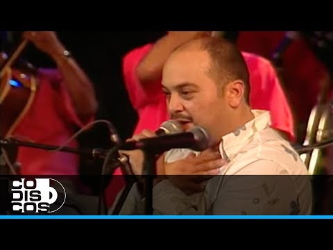 Homenaje A Los Embajadores, Grupo Galé - En Vivo