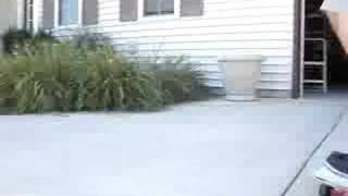 ryan sheckler's younger brother 50/50 a rail