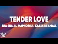 Sha Sha Tender Love Lyrics Ft DJ Maphorisa Kabza De Small