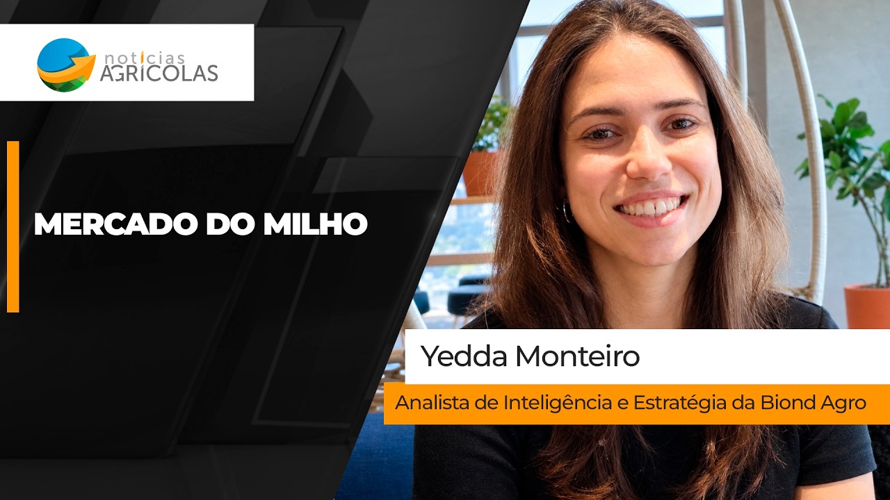 Brasil perde competitividade nas exportações de milho e preços internos sentem pressão