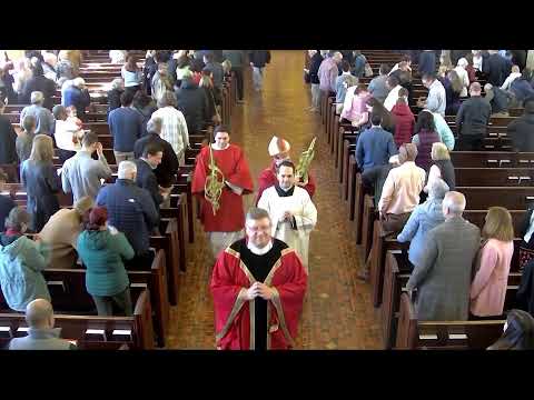 2 April 2023 | Palm Sunday | Most Rev Alfred Schlert