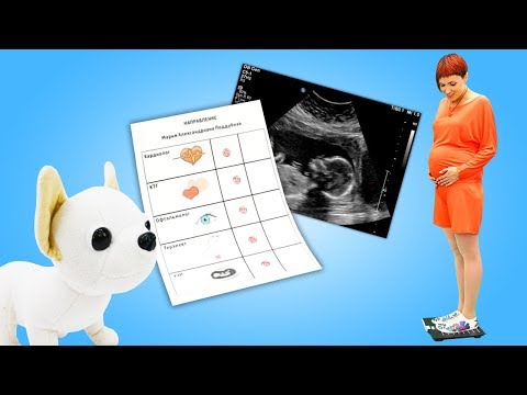 Маша Капуки беременна - Обследование и взвешивание - Как мама