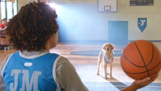 Download lagu Air Bud Returns | Teaser Trailer (2027) mp3 Download lagu Air Bud Returns | Teaser Trailer (2027) mp3