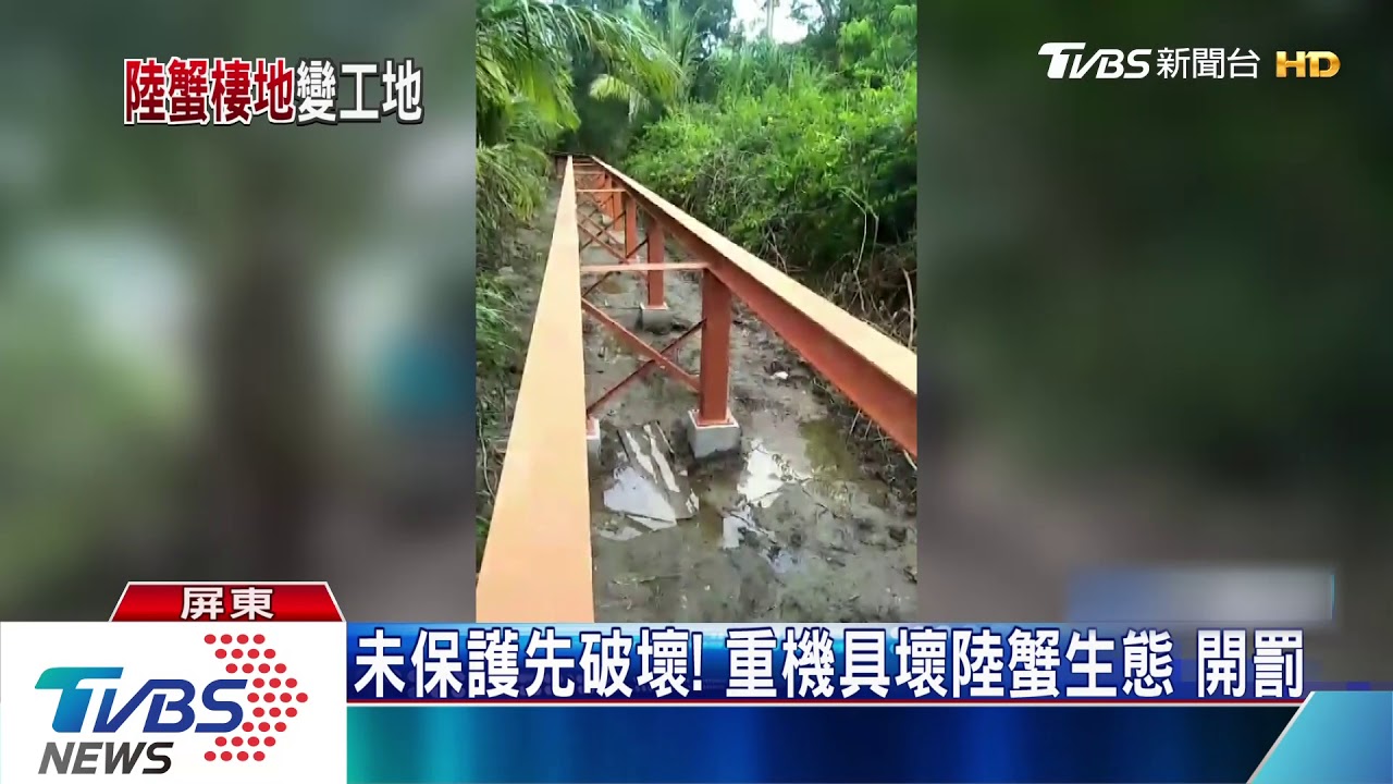 未保護先破壞! 重機具壞陸蟹生態開罰