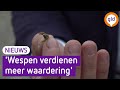 'Wespen verdienen meer waardering'