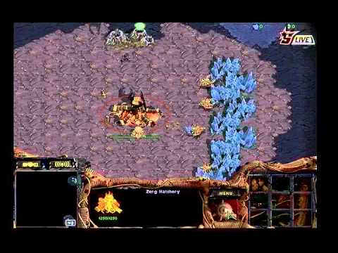 ODT2011-1  Major vs Killer 2011-06-29  @ Gladiator