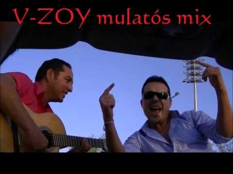 V-Zoy mulatós mix