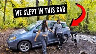 COMPACT CAR CAMPING WITH 2 DOGS