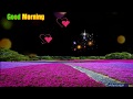 Good Morning Video