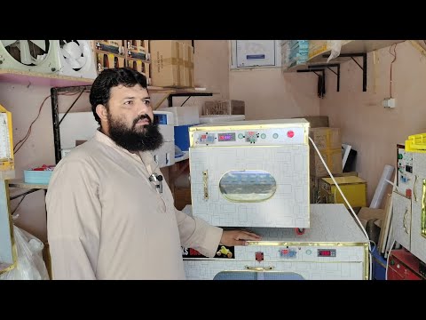 best brooder in Pakistan for Ayam cemani chicks best brooder