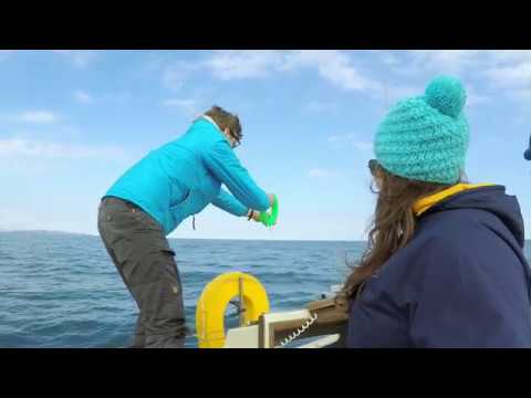 Sailing Kittiwake - Fishing from a Sailboat