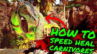 How To SPEED HEAL CARNIVORES on Ark Survival Ascended!!! ASA Healing Trick!!!