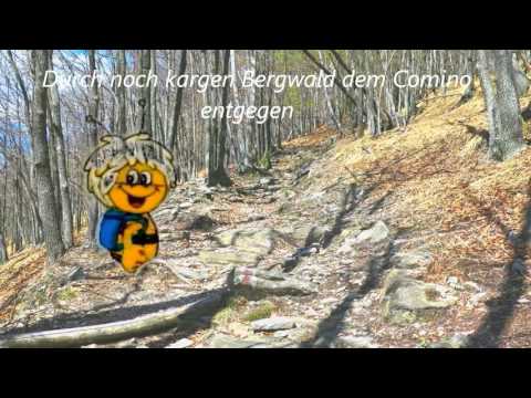 Intragna - Monte Comino im Centovalli  ///  14. April 2016