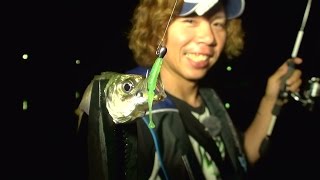 ジャコナックル-アジング実釣解説