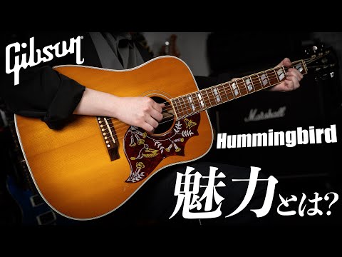 ギブソン・アコースティックで最も個性的なギター、Hummingbirdについて楽器屋店員が解説します！【サウンドチェックあり】