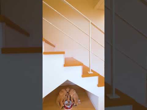 mobilier style scandinave -chaise-lognue-table-appoint-bambou-abat-jour-rotin