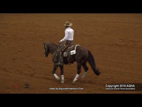 OPUS CAT OLENA ridden by MATT KOCH   2018 AQHA World Show Jr  Wkg  Cow Horse