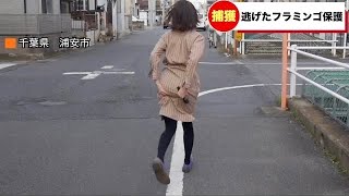 生放送中に漏らした女子アナ