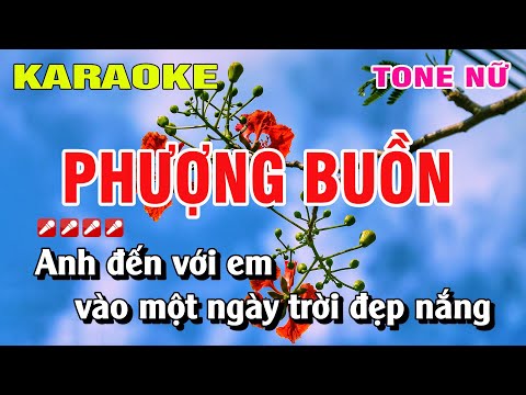 Karaoke Phượng Buồn Tone Nữ Nhạc Sống | Nguyễn Linh