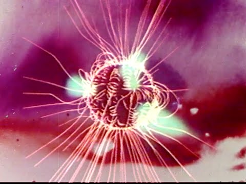 "Pressed Pennies" by Jake Chudnow [HD]