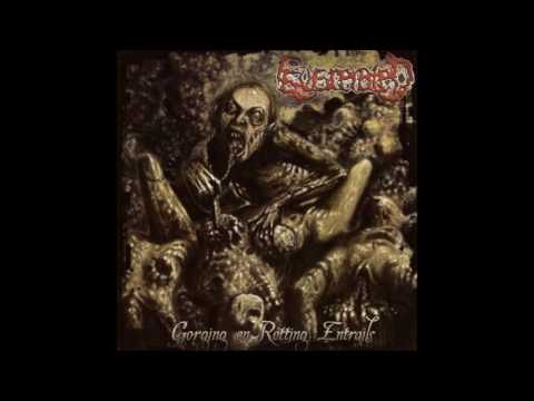 Eviscerated - Gorging on Rotting Entrails (Full Album)