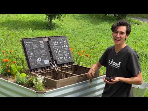 Feeding your worms for the first time