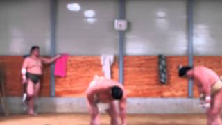 追手風部屋朝稽古