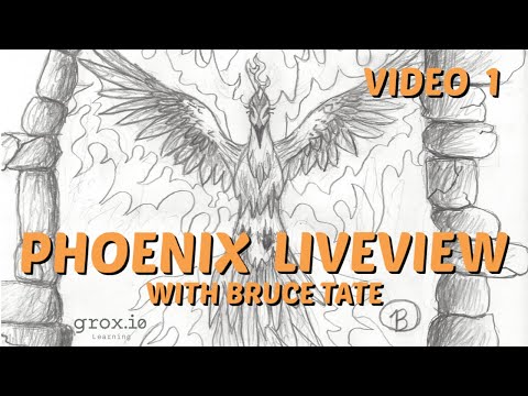 Programmer Passport: Phoenix LiveView,  Video 1 - Getting Started