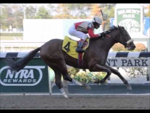 Wicked Strong Tribute