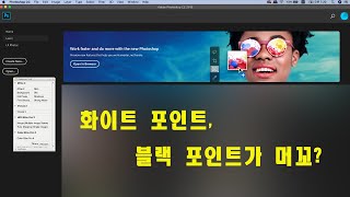 (포토샵 초급) 화이트 포인트, 블랙 포인트. 그까이꺼 한방에 보내버리자!!!