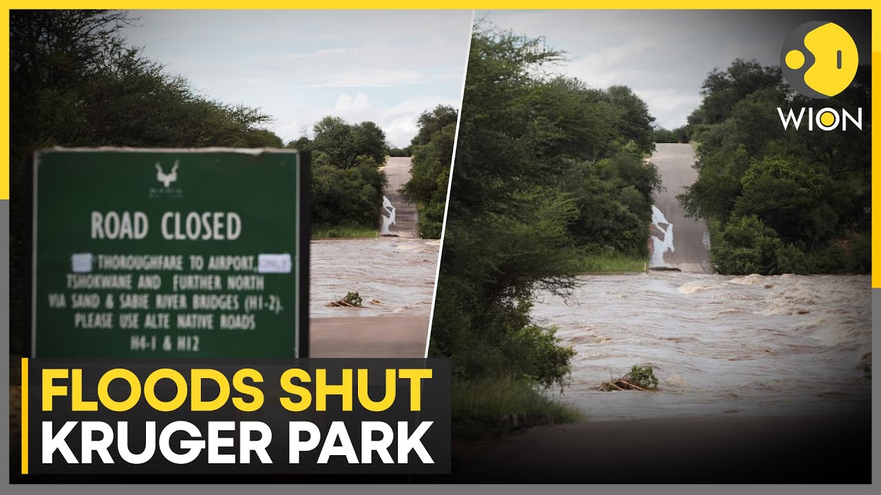South Africa: Flooding Shuts Day Visits at Kruger Park as Heavy Rains Submerge Areas | WION