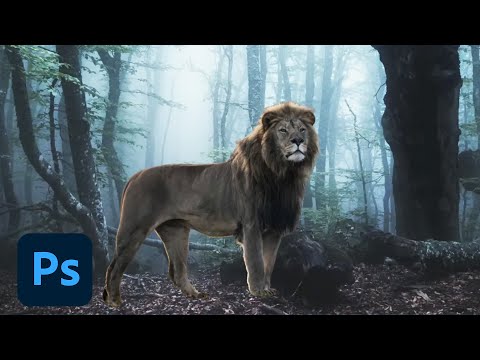 The New Show With Paul Trani - Episode 36 | Adobe Creative Cloud