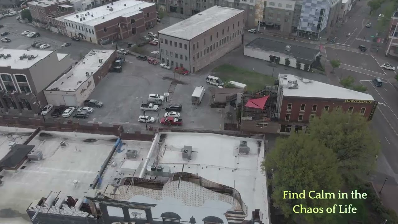 Exploring Mindfulness with Joseph Goldstein on Insight Timer, insight timer joseph goldstein