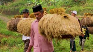 Download lagu LAPTOP SI UNYIL | MERDEKA DARI KITA (16/08/18) 3-3 mp3