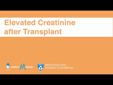 Elevated creatinine after Kidney Transplant