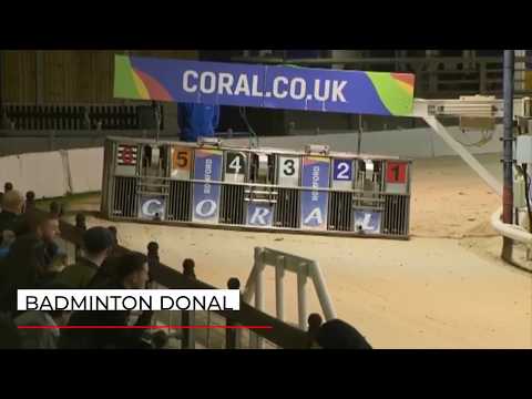 Badminton Donal - Coral Golden Sprint Semi Final