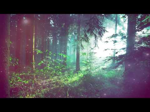 Trapped Into Paradise (SimonxGribbe)