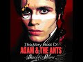 Adam And The Ants Antmusic 2006 Remaster