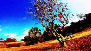 NoiseLord - Neverending Crisis