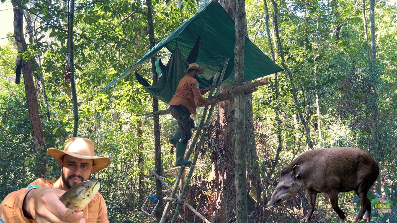 Fiz um ACAMPAMENTO as alturas em meio a FLORESTA e passei a noite Observando os ANIMAIS🌳🐆🏕️AMAZÔNIA