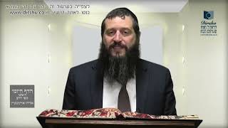 הדף היומי ירושלמי מסכת שביעית דף יח