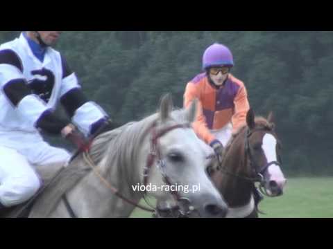 Gon. V (N. Kurozwęk) - 2.07.2011 - Dostatok (Status - Dupona)