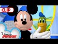 Donald Turns Into A Frog Mickey Mouse Clubhouse Disneyjr​