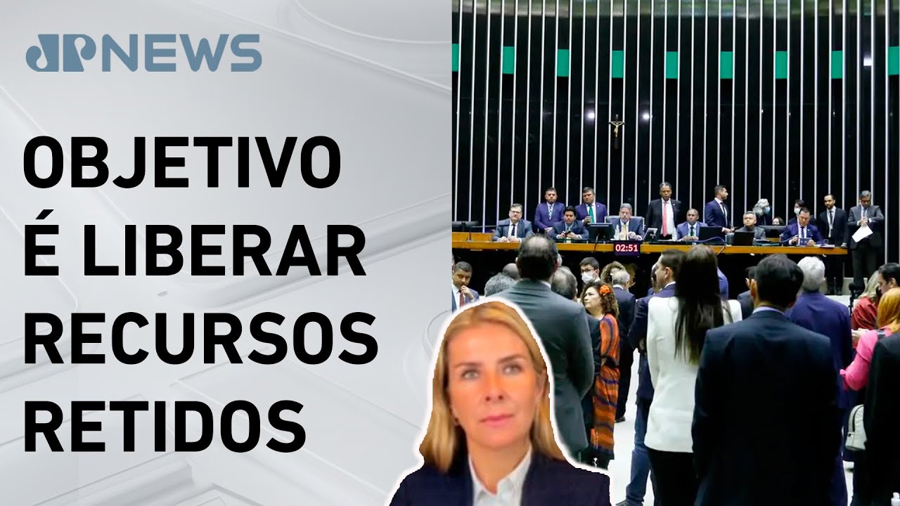 Câmara apresenta informações de emendas parlamentares ao STF; Deysi Cioccari analisa