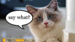 LAZIEST and SLOWEST Animals EVER