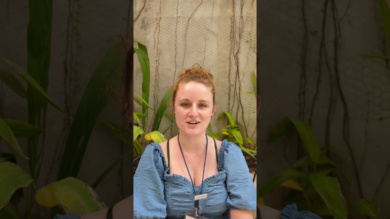 Hannah - Inner Fire (Manager)
